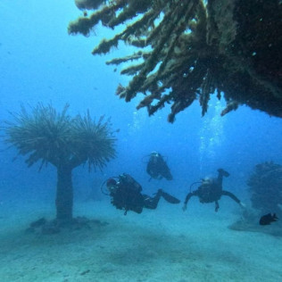 Bautizo de Buceo (Playa Blanca, Lanzarote)