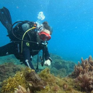 Bautizo de Buceo (Tabaiba, Santa Cruz de Tenerife)