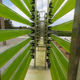 Entrada, Visita Guiada y Degustación de Aloe en Ibiza Botánico Biotecnológico - BiBo Park (San Rafael de la Cruz, Ibiza)