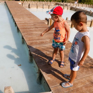 Entrada, Visita Guiada y Degustación de Aloe en Ibiza Botánico Biotecnológico - BiBo Park (San Rafael de la Cruz, Ibiza)