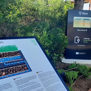 Entrada, Visita Guiada y Degustación de Aloe en Ibiza Botánico Biotecnológico - BiBo Park (San Rafael de la Cruz, Ibiza)