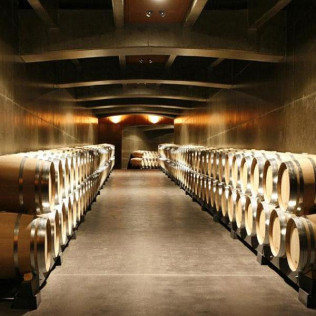 Visita Guiada a BODEGAS VIVANCO con Degustación de 2 Vinos (Briones, La Rioja)
