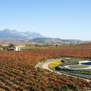 Visita Guiada a BODEGAS VIVANCO con Degustación de 2 Vinos (Briones, La Rioja)