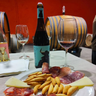 Visita guiada a Bodegas Canopy y Cata de Vinos con Aperitivo para dos (Camarena, Toledo)