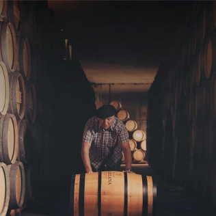 Visita Guiada a Bodegas Valdelana, Museo del Vino y Jardín de las Variedades con Cata de Vino y Aceite para dos (Álava)