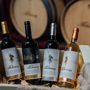 Visita a la Bodega y Almazara Aldonza Gourmet con Degustación de Cava, Vinos y Aceite AOVE para dos (Munera, Albacete)