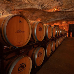 Visita a la Bodega y Almazara Aldonza Gourmet con Degustación de Cava, Vinos y Aceite AOVE para dos (Munera, Albacete)