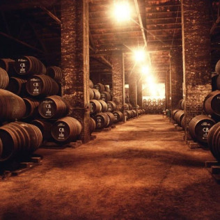 Visita Guiada a la Bodega Alvear con Cata de 3 Vinos (Montilla, Córdoba)