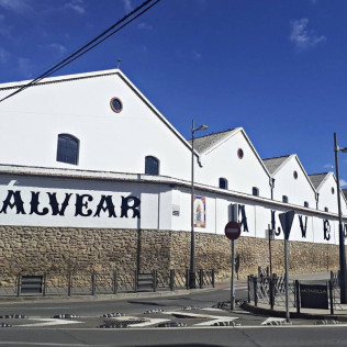 Visita Guiada a la Bodega Alvear con Cata de 3 Vinos (Montilla, Córdoba)