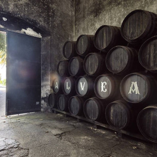 Visita Guiada a la Bodega Alvear con Cata de 3 Vinos (Montilla, Córdoba)