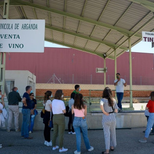 Visita a Bodega Vinícola de Arganda y Degustación de Vinos con Maridaje para dos (Arganda del Rey, Madrid)
