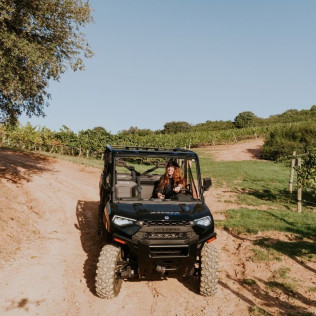 Paseo por Viñedos en 4x4 y Visita a Bodega Arínzano con Cata de Gama Completa de Vinos y Aperitivo (Navarra)