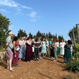 Visita a Bodega con Cata de Vinos para dos en Bodega Butxet (Muro, Mallorca)