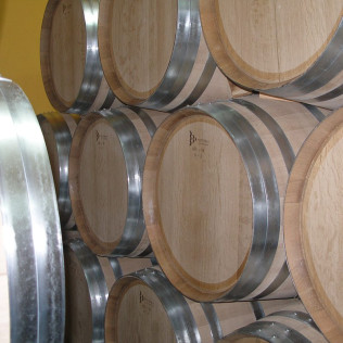 Visita a la Bodega Campos de Dulcinea con Cata de Vinos para dos (El Toboso, Toledo)