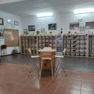 Visita a la Bodega Campos de Dulcinea con Cata de Vinos para dos (El Toboso, Toledo)