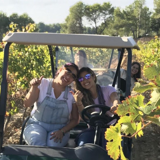 Visita a Viñedos en Buggy, Cata de Vinos y Aperitivo en Can Casals (Barcelona)