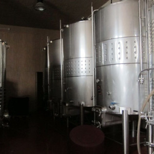 Visita a Viñedos en Buggy, Cata de Vinos y Aperitivo en Can Casals (Barcelona)