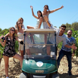 Visita a Viñedos en Buggy, Cata de Vinos y Aperitivo en Can Casals (Barcelona)