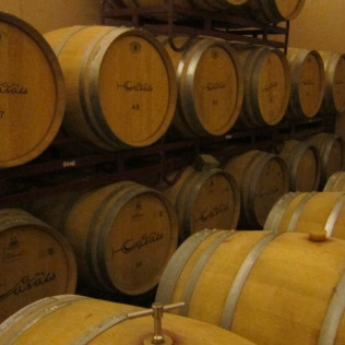 Visita a Viñedos en Buggy, Cata de Vinos y Aperitivo en Can Casals (Barcelona)