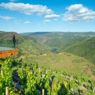 Visita a Bodega Regina Viarum y Cata de Vinos a Elegir para dos en Ribeira Sacra (Lugo)