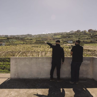 Visita Premium: Visita a la Bodega con Degustación de Vinos y Picoteo para dos en Linaje del Pago (El Sauzal, Tenerife)