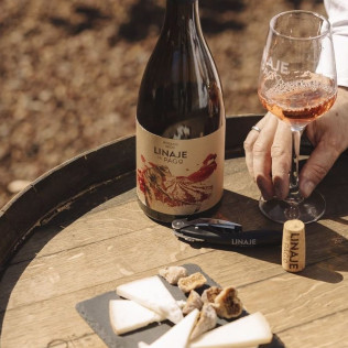Visita Premium: Visita a la Bodega con Degustación de Vinos y Picoteo para dos en Linaje del Pago (El Sauzal, Tenerife)