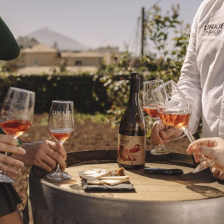 Visita Premium: Visita a la Bodega con Degustación de Vinos y Picoteo para dos en Linaje del Pago (El Sauzal, Tenerife)