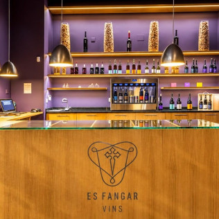 Visita y Cata Premium de Vinos en Bodega Es Fangar Vins (Mallorca)