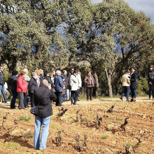 Visita Cantos para dos: Visita a los Viñedos, Bodega y Cata de Vinos en la Bodega Finca Valpiedra (La Rioja)