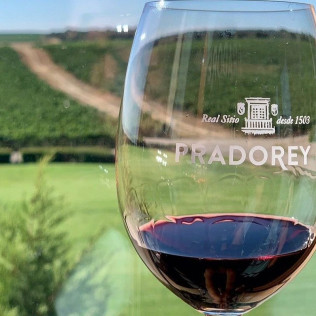 Escapada en La Posada de Pradorey con Cena, Visita a Bodega, Viñedos y Cata de Vinos de Alta Gama para dos (Gumiel de Mercado, Burgos)