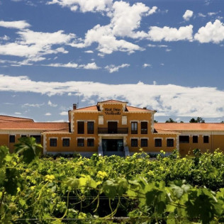 Escapada en La Posada de Pradorey con Cena, Visita a Bodega, Viñedos y Cata de Vinos de Alta Gama para dos (Gumiel de Mercado, Burgos)