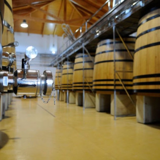 Visita a Bodega con Cata de Vinos y Opción a Menú o Maridaje para dos en Huerta de Albalá (Arcos de la Frontera, Cádiz)