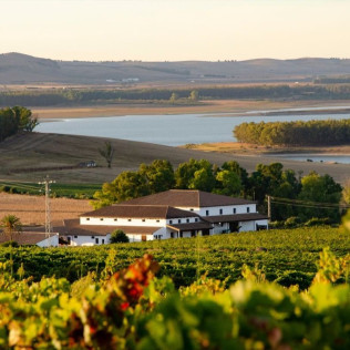 Visita a Bodega con Cata de Vinos y Opción a Menú o Maridaje para dos en Huerta de Albalá (Arcos de la Frontera, Cádiz)