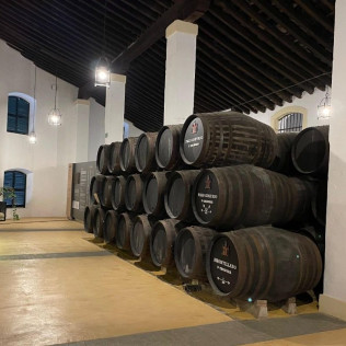 Visita Guiada a Bodega Cayetano del Pino con Cata de Vinos (Jerez de la Frontera, Cádiz)