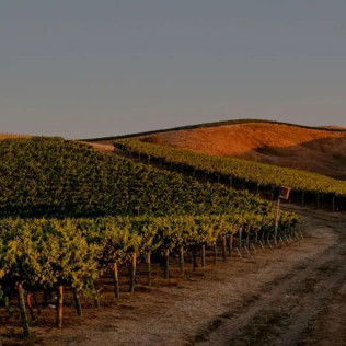 Visita Raíces: Visita a Bodega con Cata y Maridaje para dos (La Rioja)