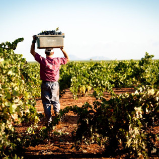 Visita a Bodega Las Encomiendas y Cata para dos (Villafranca de los Barros, Badajoz)