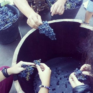 Visita a Bodegas Palacio de Lerma con Cata de 3 Vinos para dos (Lerma, Burgos)