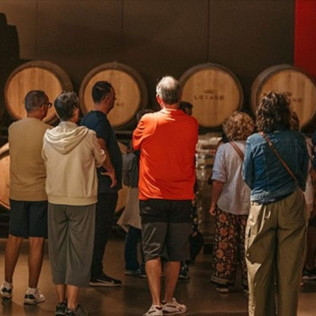 Visita a Bodegas Lozano con Cata a Ciegas (Leza, Álava)