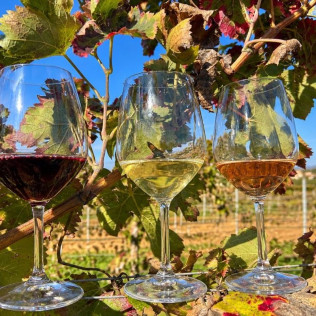 Visita Guiada y Cata de Vinos para dos en Bodega Can Morgan (Mallorca)