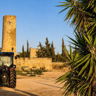 Visita Guiada y Cata de Vinos para dos en Bodega Can Morgan (Mallorca)