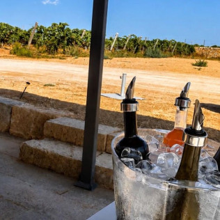 Visita Guiada, Cata de Vinos y Pa Amb Oli Mallorquí para dos en Bodega Can Morgan (Mallorca)
