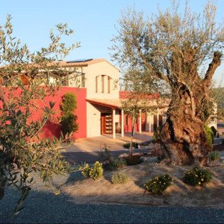 Visita a Bodega Mas Bertran con Almuerzo para dos (Sant Martí Sarroca, Barcelona)