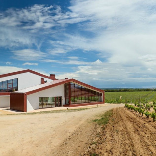 Sabores KM 0: Visita a Bodega, Cata de Vino y Menú Maridado para dos en Bosque de Matasnos (Peñaranda de Duero, Burgos)