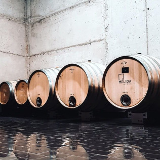 Visita a Bodega con Cata de Vinos y Aperitivo para dos en Mélida Wines (Mélida, Valladolid)
