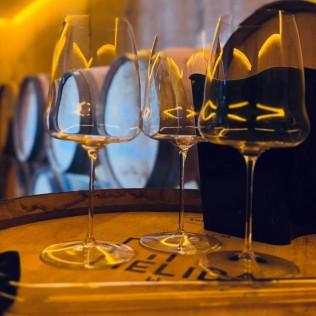 Visita a Bodega con Cata de Vinos y Aperitivo para dos en Mélida Wines (Mélida, Valladolid)