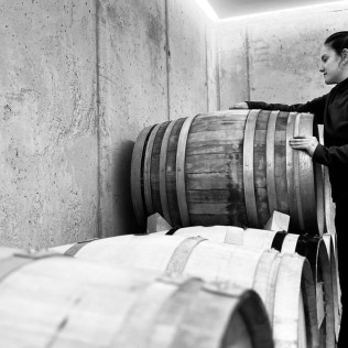 Visita a Bodega con Cata de Vinos y Aperitivo para dos en Mélida Wines (Mélida, Valladolid)