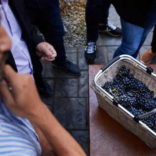 Visita a Bodega Montecillo con Taller de Barricas, Cata de Vinos Premium y Museo (Navarrete, La Rioja)