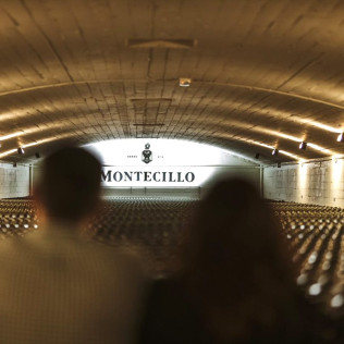 Visita a Bodega Montecillo con Taller de Barricas, Cata de Vinos Premium y Museo (Navarrete, La Rioja)