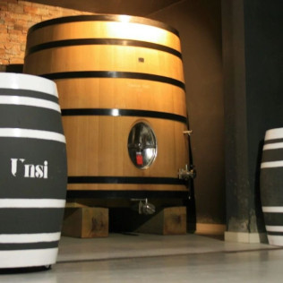 Hambre de Vino: Visita a Bodega, Cata de Vino y Maridaje en Unsi Wines (Olite, Navarra)