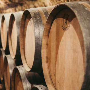 Vista a Bodega Subterránea con Cata de Vinos en Bodega Remigio Salas (Dueñas, Palencia)